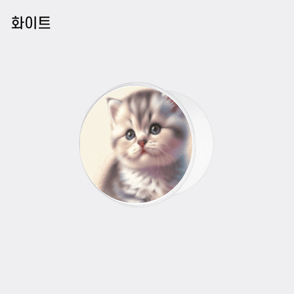 아기고양이의 첫 세상 스마트톡